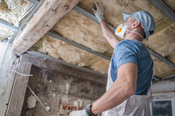 Best Specialized Insulation Services in Waterbury, CT